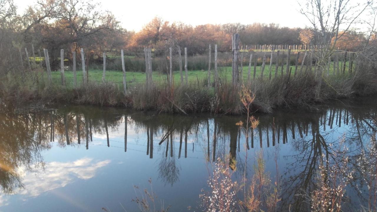 Nostal'Gite Lansargues Exteriér fotografie