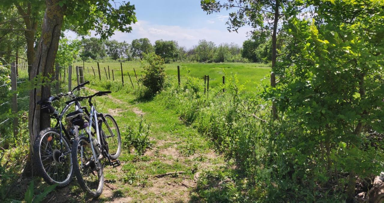 Nostal'Gite Lansargues Exteriér fotografie