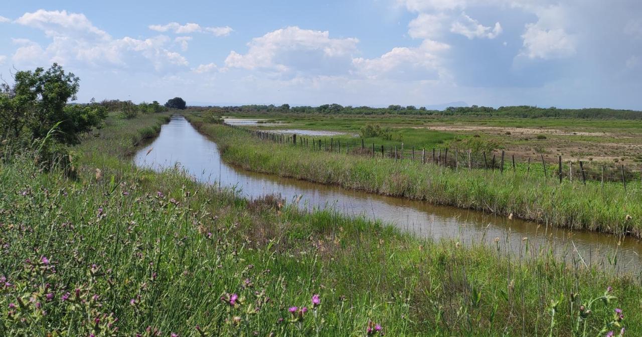 Nostal'Gite Lansargues Exteriér fotografie